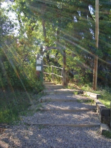Sunlight Streaming Sunlight Streaming